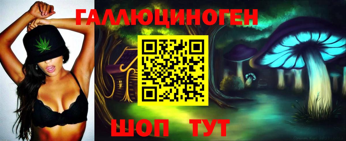 Галлюциногенные грибы Psilocybe Лесной